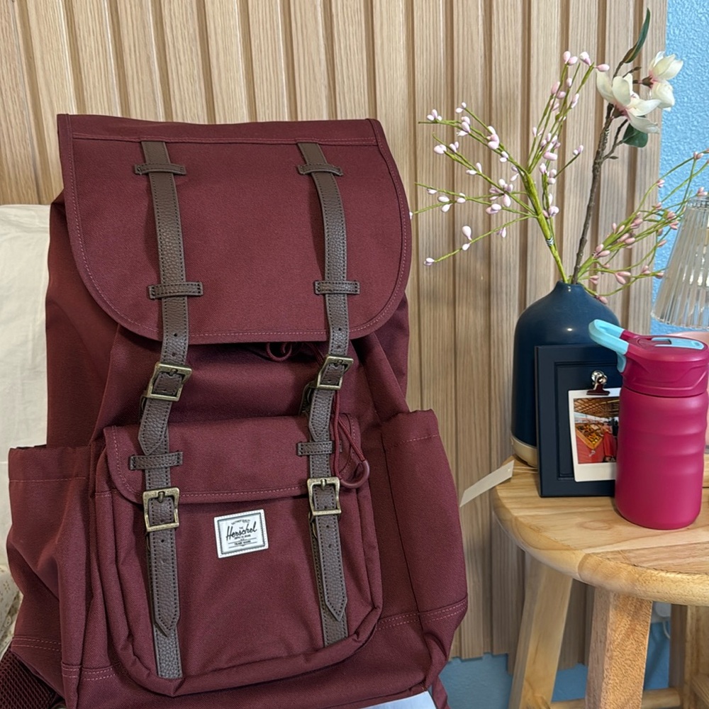 Herschel Little Backpack (L)